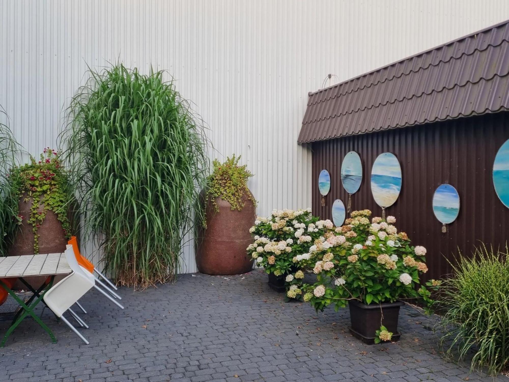 Comfortable Holiday Homes Close To Sea, Grzybowo 格里兹鲍 外观 照片